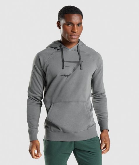 Men's Gymshark Sharkhead Infill Hoodie Grey | NZ 0NAQBL